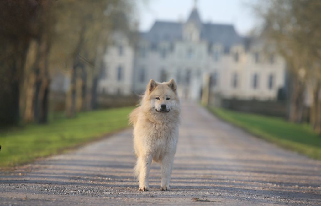 All in wann Du Royaume D'ebène