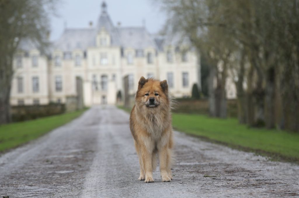 Marvel Du Royaume Des Etangs