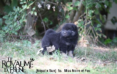 Miss Noire et feu