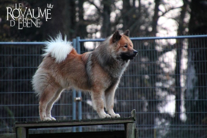 albionspitz Blinding sun