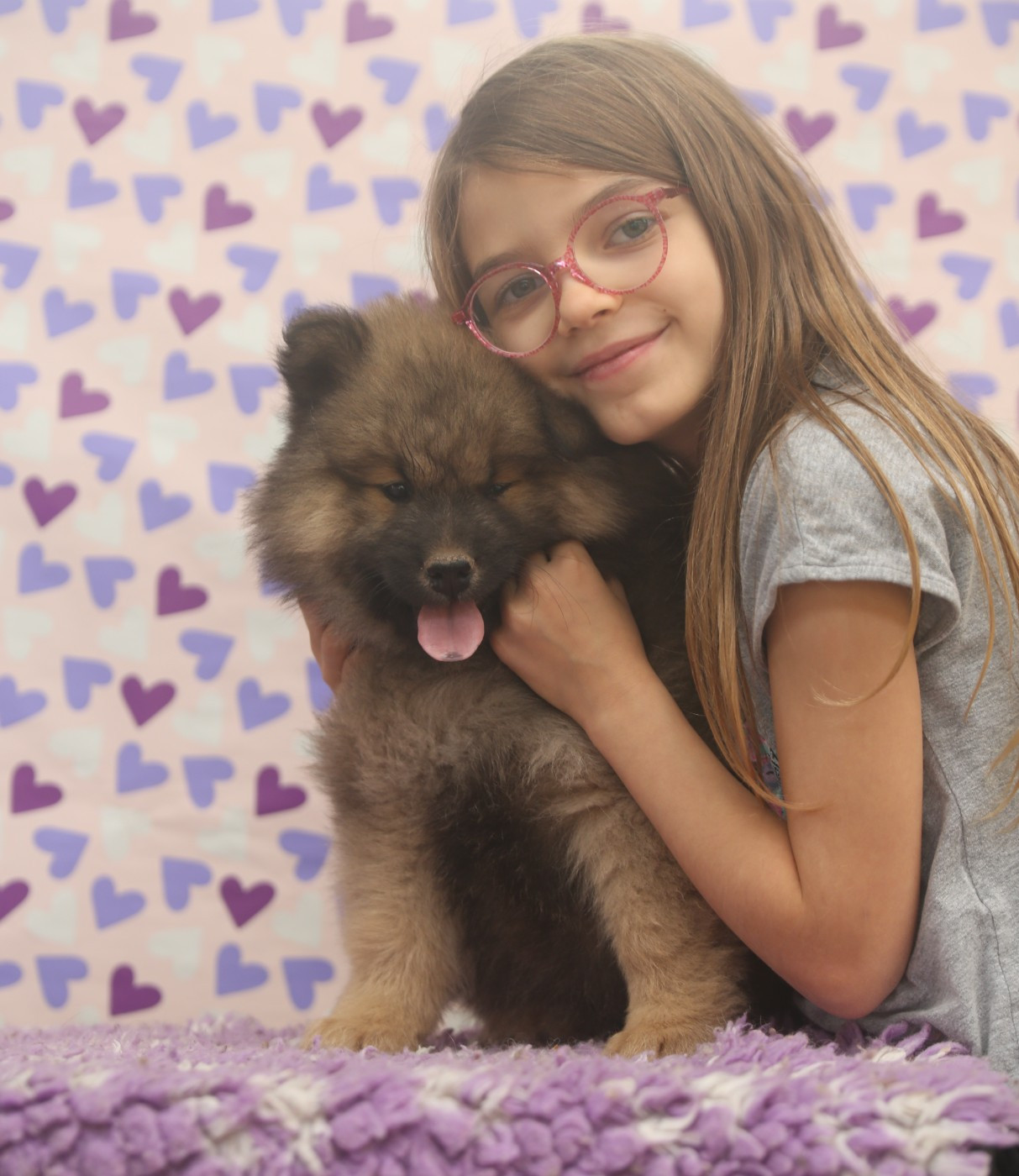 Du Royaume D'ebène - Chiots disponibles - Eurasier